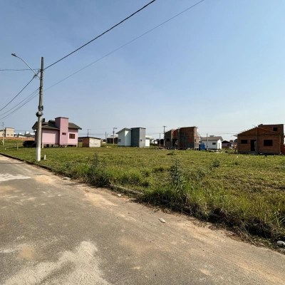 Terreno Tereza Cristina - Içara/SC