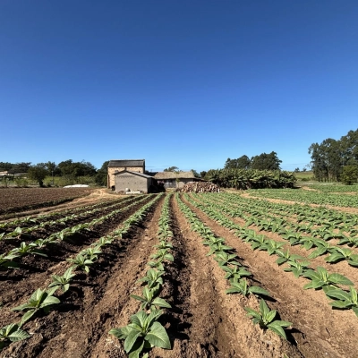 S&iacute;tio 13 hectares Vila Alvorada - I&ccedil;ara/SC