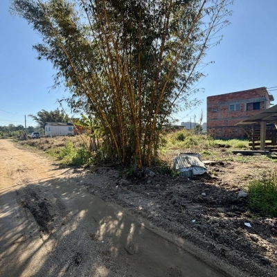 Terreno 50 metros da Rodovia Três Ribeirões - Içara/SC