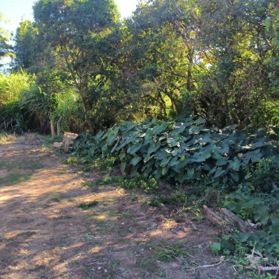 Terreno - Santa Cruz - Içara/SC