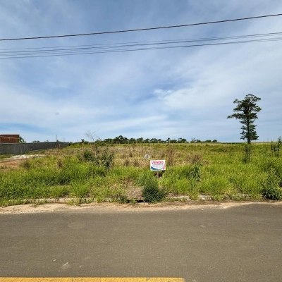 Terreno Loteamento Niero - Vila S&atilde;o Jos&eacute; - I&ccedil;ara/SC