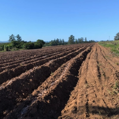 Terreno para chácara - Santa Cruz - Içara/SC