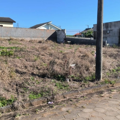Terreno - Tereza Cristina - Içara/SC