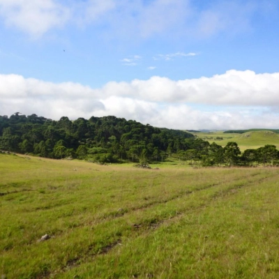 Terreno rural - Bom Jardim da Serra/SC