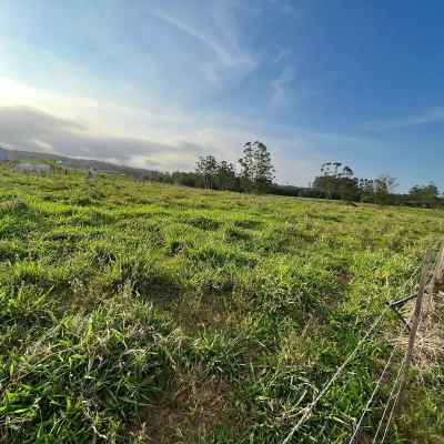 Terreno próximo ao Santuário - Içara/SC