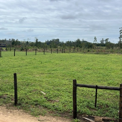 Terreno para chácara - Boa Vista - Içara/SC