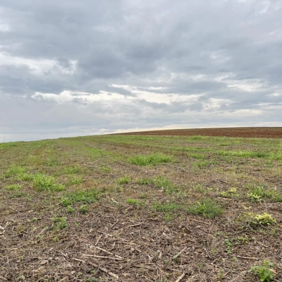 Terreno para chácara - Jaqueline - Içara/SC