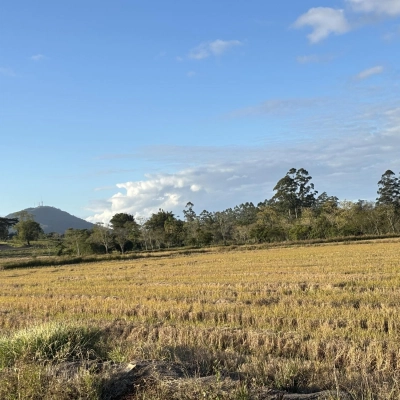 Terreno 4,5 hectares - bairro Barro Vermelho - Araranguá/SC