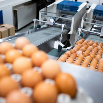 Conozca los beneficios de las soluciones de Agrosys para este segmento