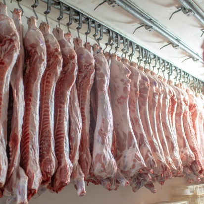 Conheça os benefícios das soluções Agrosys para este segmento