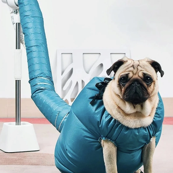 Saco para secagem rápida de animais  | Secador de petshops em casa