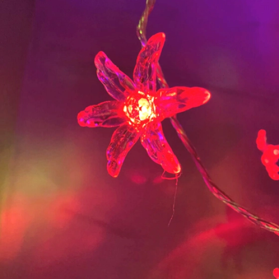 Cordão de lâmpadas pisca pisca  | Flores cristal luz de led
