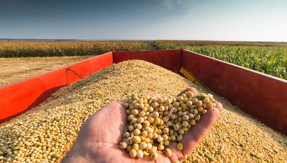 Outubro registra o 2º melhor desempenho da série histórica 