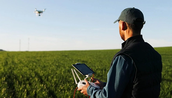 Laringotraqueíte: uma nova ameaça para a pecuária