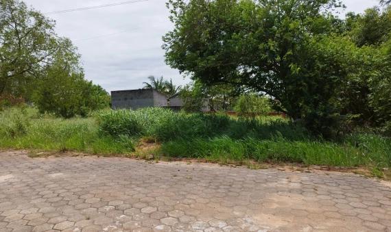 TERRENO - MINERAÇÃO, IÇARA