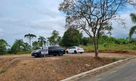 TERRENO - ANA MARIA, CRICIÚMA