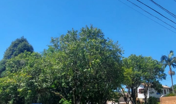 TERRENO, PRÓSPERA - CRICIÚMA