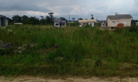 TERRENOS, LOT. IRIO DE ROCHE - ESTAÇÃO COCAL, MORRO DA FUMAÇA