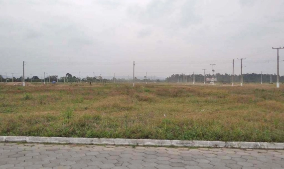 TERRENO - PALLADINI, MORRO DA FUMAÇA