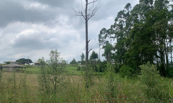 TERRENO - SEGUNDA LINHA, IÇARA