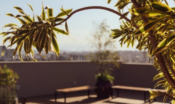 APARTAMENTO, RES. PARQUE DAS NAÇÕES - PRÓSPERA, CRICIUMA