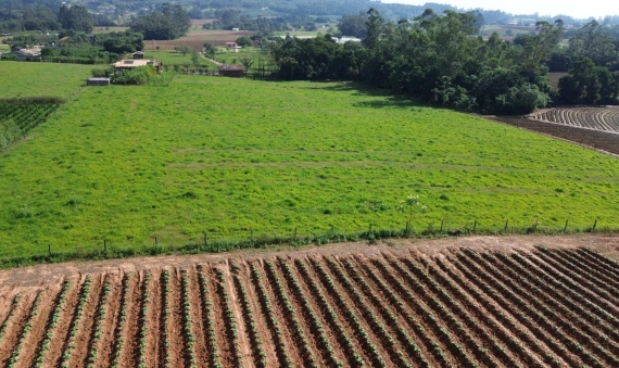 SITIO - TERCEIRA LINHA, IÇARA