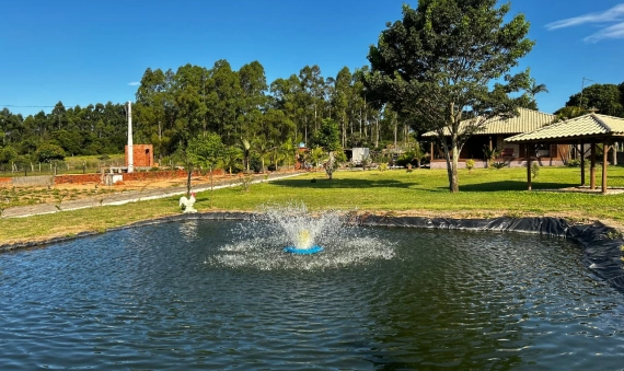 SÍTIO - URUSSANGA VELHA - IÇARA