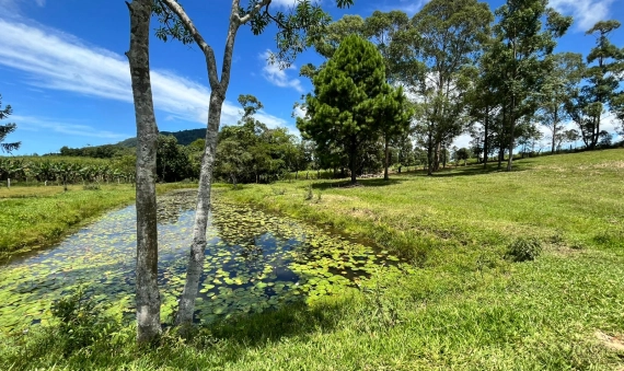 SÍTIO - SÃO DOMINGOS - CRICIÚMA