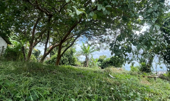 TERRENO, OPERÁRIA NOVA – CRICIÚMA