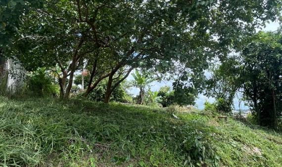 TERRENO, OPERÁRIA NOVA – CRICIÚMA