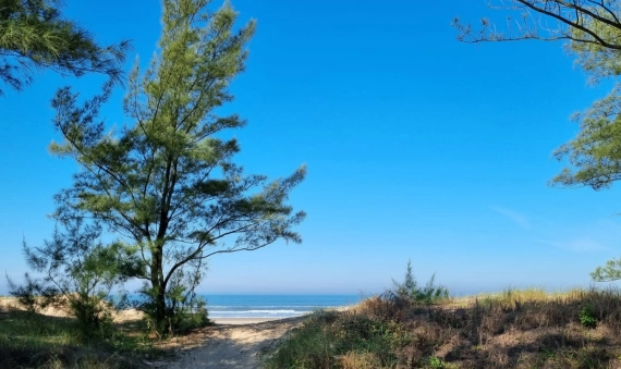 TERRENO COM CASA EM ALVENARIA, BALNEÁRIO COPA 70 - JAGUARUNA