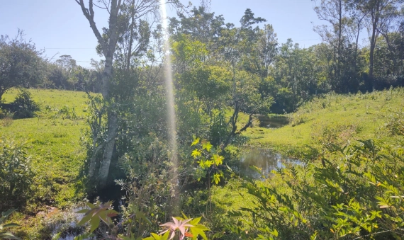 TERRENO - LOMBAS PEDREIRAS, IÇARA