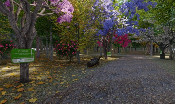 LOTEAMENTO PARQUE BRUNEL - LIRI, IÇARA