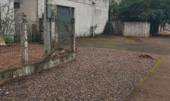 CASA MISTA, SÃO DEFENDE-CRICIÚMA