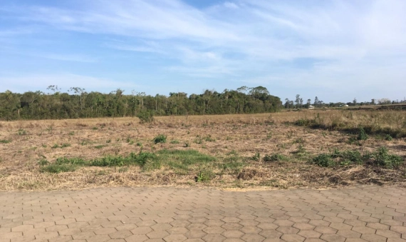 TERRENO - VILA NOVA ESPERANÇA