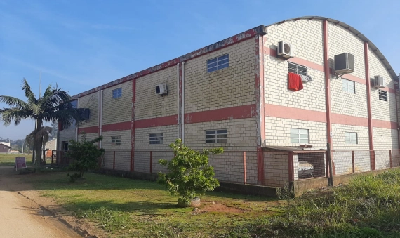 PAVILHÃO - TEREZA CRISTINA, IÇARA