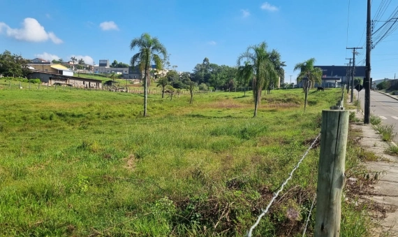 TERRENO - LIRI, IÇARA