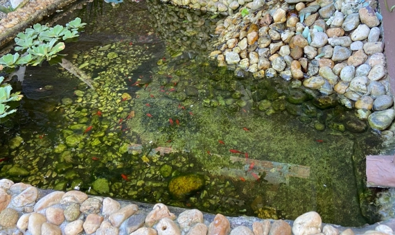 CASA - ZONA VELHA, BALNEÁRIO RINCÃO