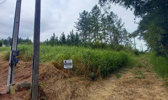 TERRENO, LOT. WALDEMAR BURIGO - COCAL DO SUL