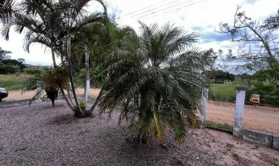 CASA - TEREZA CRISTINA, IÇARA