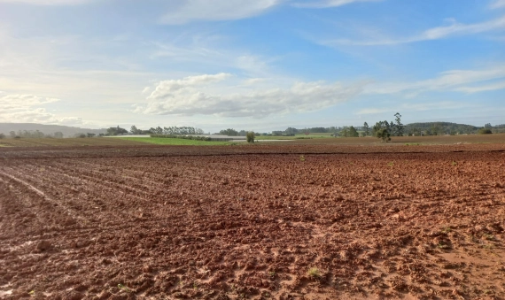 TERRENO-PONTA DO MATO, IÇARA