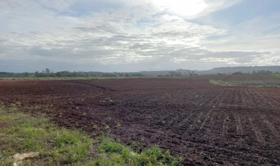 TERRENO-PONTA DO MATO, IÇARA