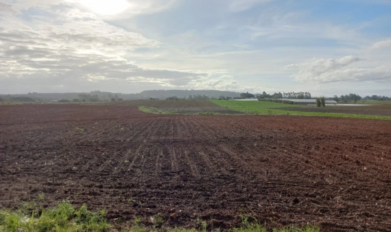 TERRENO-PONTA DO MATO, IÇARA