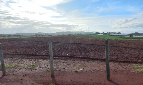 TERRENO-PONTA DO MATO, IÇARA