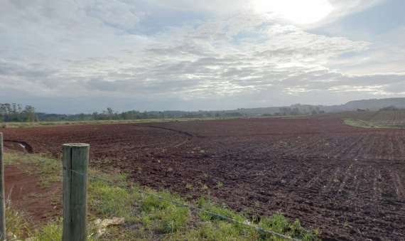 TERRENO-PONTA DO MATO, IÇARA