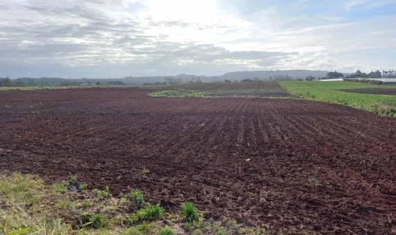 TERRENO-PONTA DO MATO, IÇARA