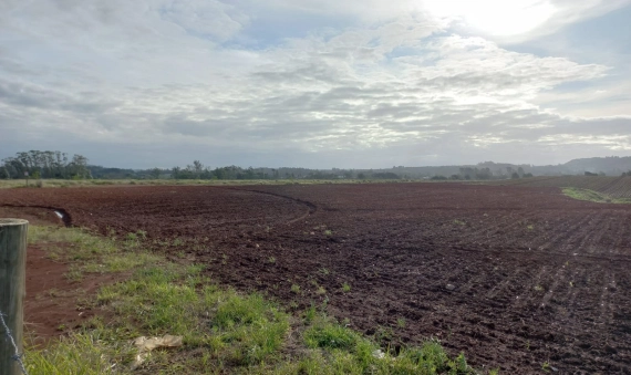 TERRENO-PONTA DO MATO, IÇARA