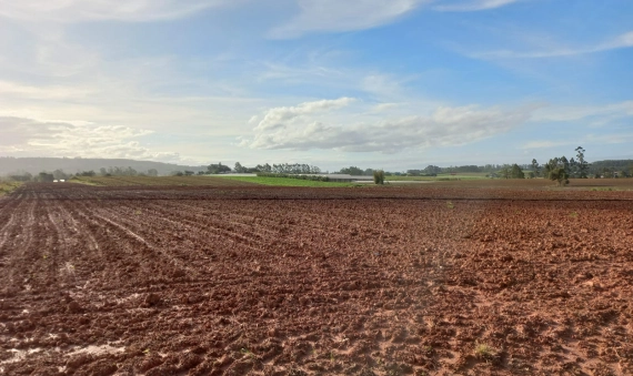 TERRENO-PONTA DO MATO, IÇARA