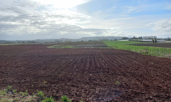 TERRENO-PONTA DO MATO, IÇARA