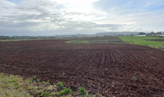 TERRENO-PONTA DO MATO, IÇARA